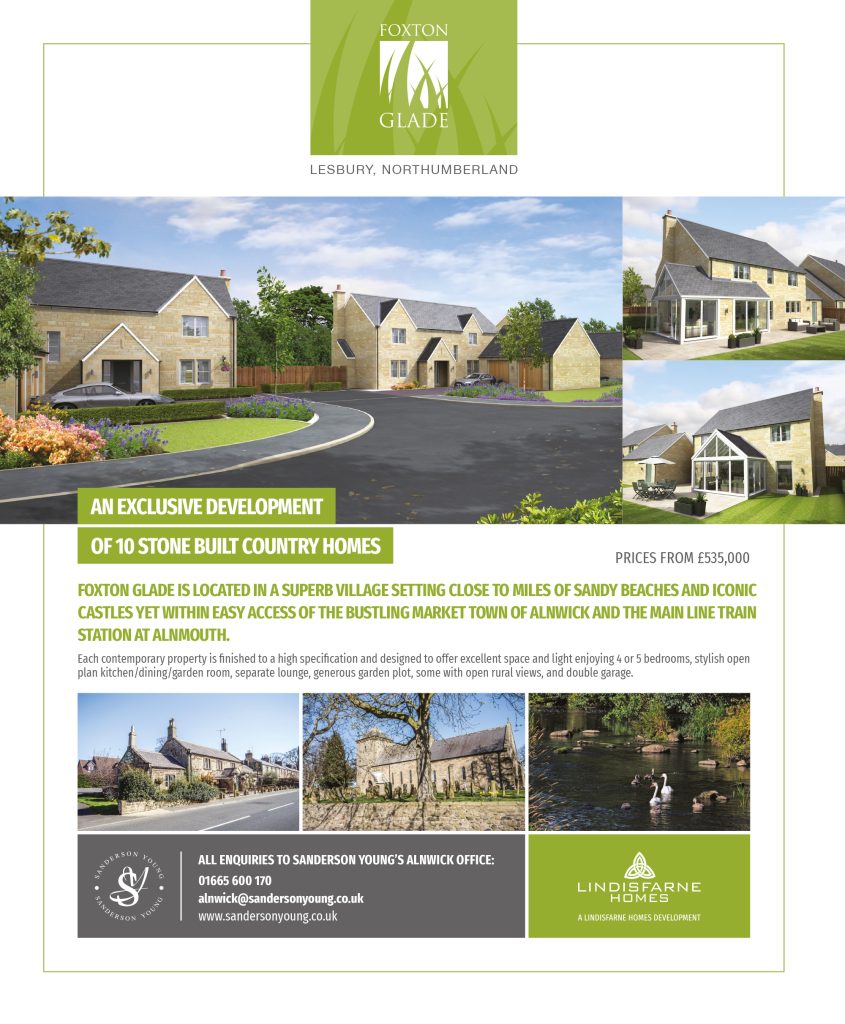 Advert Design, New Development Advert Design, New Homes Advert Design